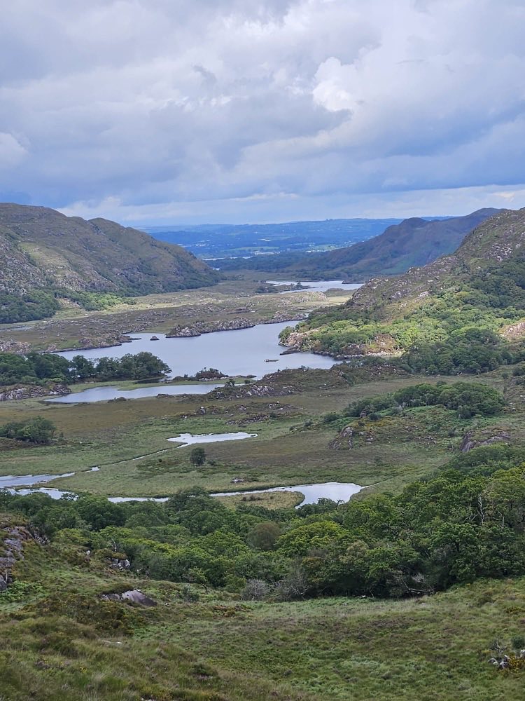 The lakes and wooded valley of Killarney National Park seen from Ladies View