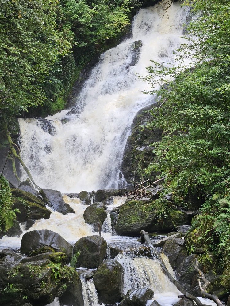 Torc Waterfall tumbling through mossy rocks and woodland near Killarney